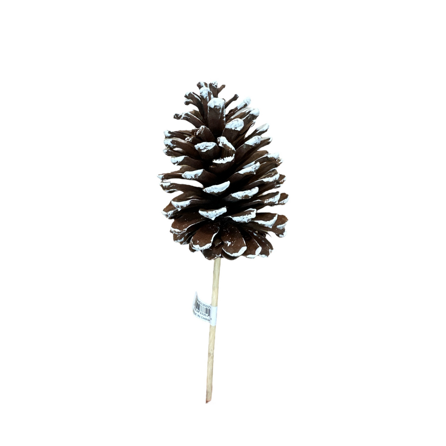 Large Natural Pinecone Pick 3.75"-4.5" with 7" Wooden Stem-XD135027 Craig Bachman
