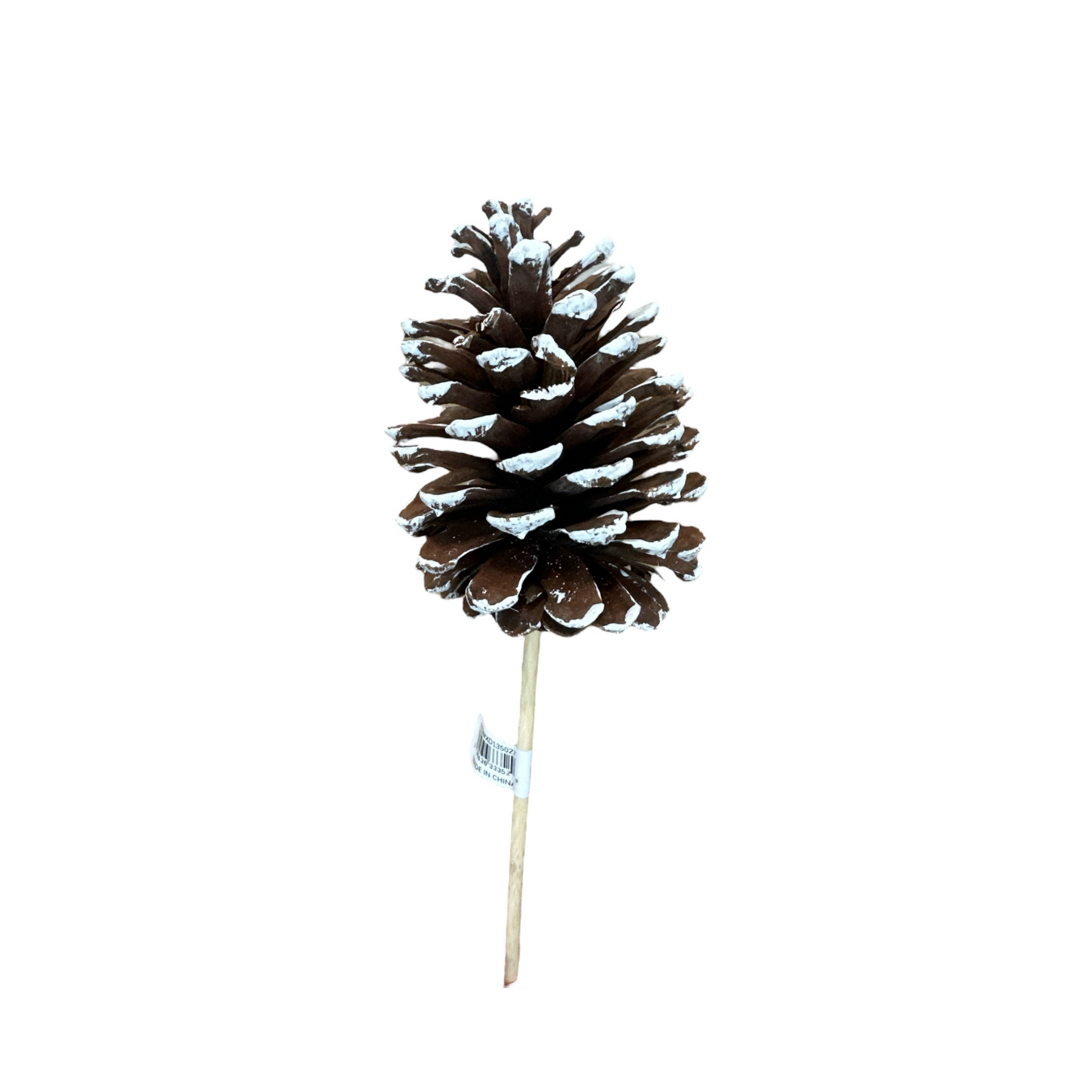 Large Natural Pinecone Pick 3.75"-4.5" with 7" Wooden Stem-XD135027 Craig Bachman