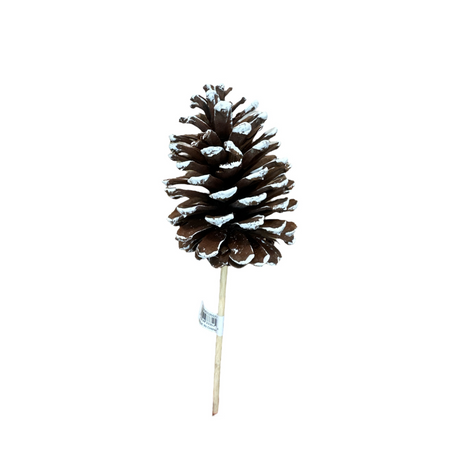 Large Natural Pinecone Pick 3.75"-4.5" with 7" Wooden Stem-XD135027 Craig Bachman