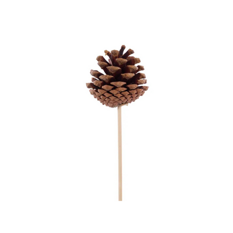 Natural Pinecone Pick 1.75"-2.75" with 7" Wooden Stem-XD133918 Craig Bachman