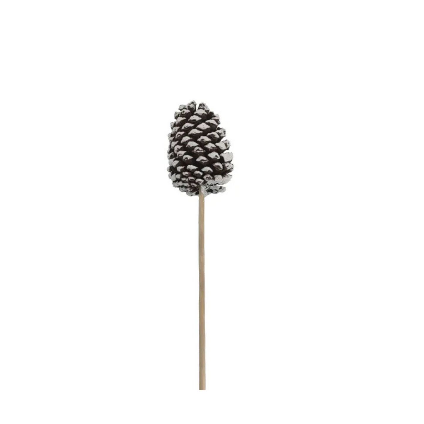 Large Natural Pinecone Pick 3.75"-4.5" with 7" Wooden Stem-XD135027 Craig Bachman