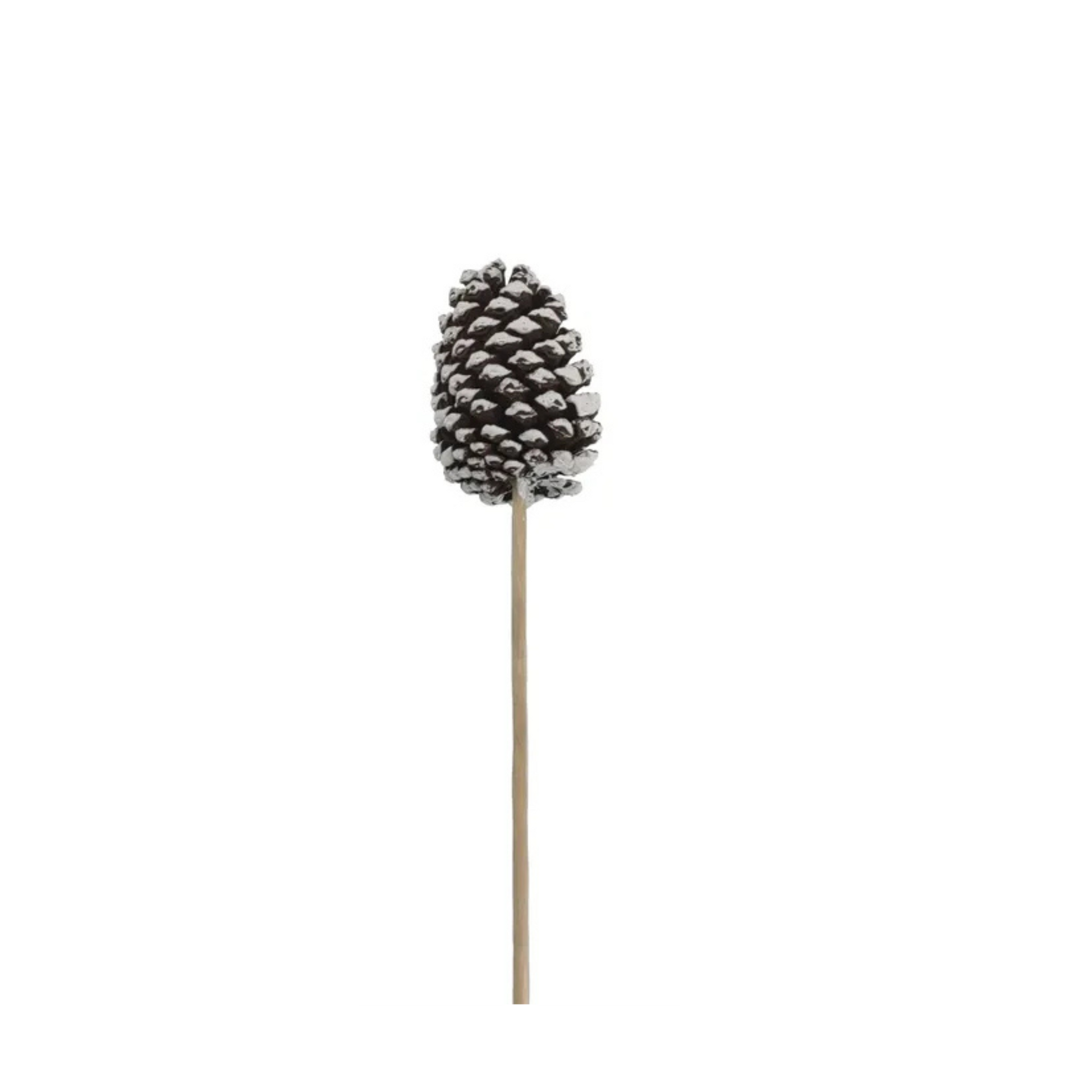 Large Natural Pinecone Pick 3.75"-4.5" with 7" Wooden Stem-XD135027 Craig Bachman
