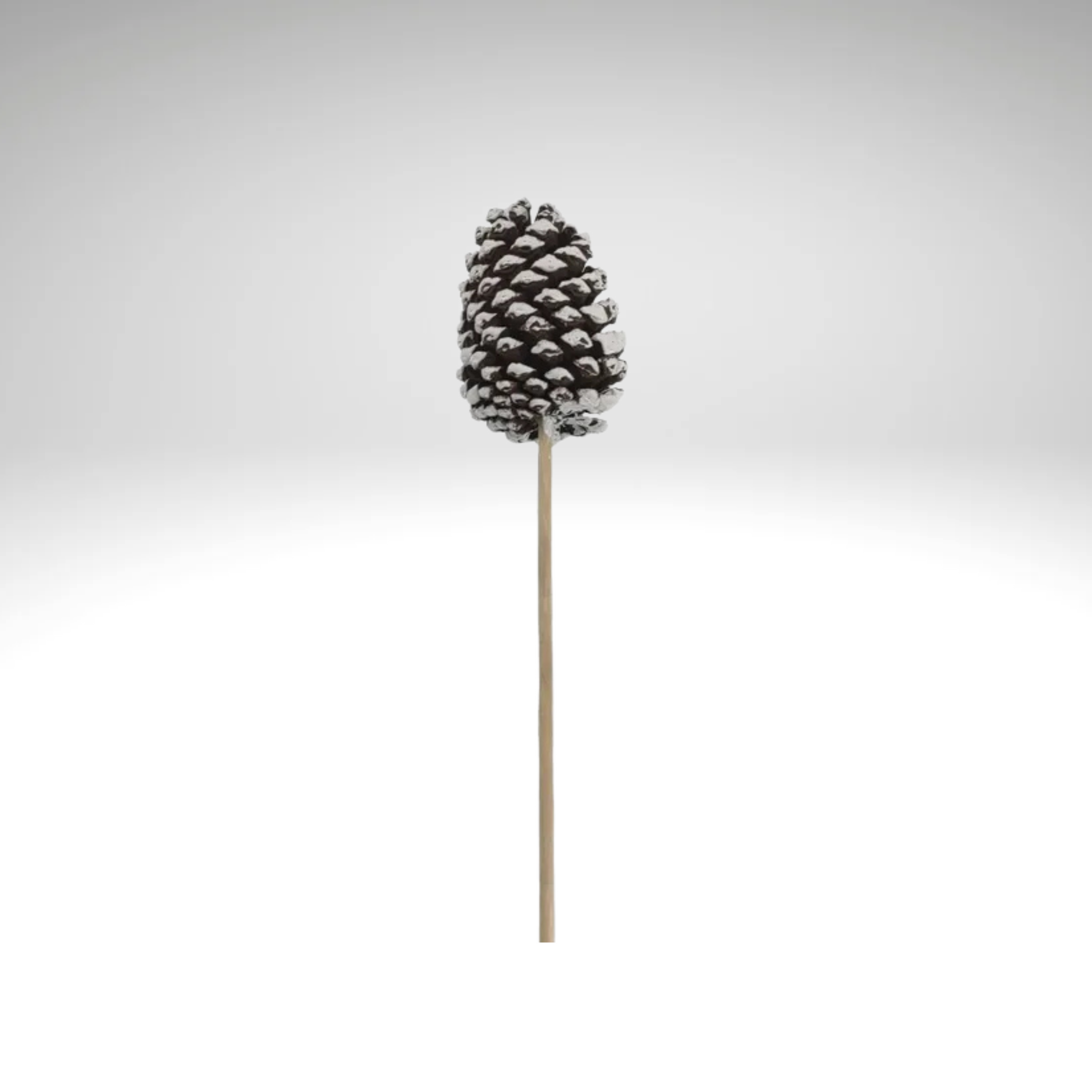 Large Natural Pinecone Pick 3.75"-4.5" with 7" Wooden Stem-XD135027 Craig Bachman