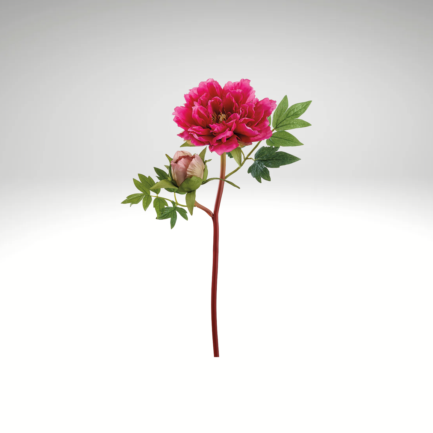 Bright Pink Artificial Peony Spray-FSP476-BT