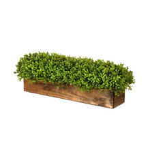 Load image into Gallery viewer, 26&quot; Artificial Boxwood Centerpiece - Greenery in Rustic Wooden Planter