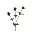 Purple Thistle Spray | 32" Artificial Floral Stem for Rustic & Gothic Arrangements-FS323623 Craig Bachman