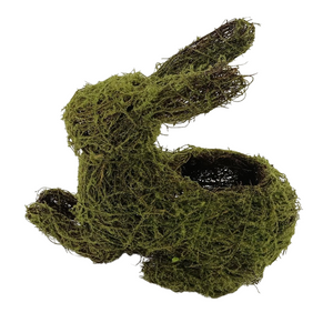 14x13" Moss-Covered Grapevine Rabbit Planter