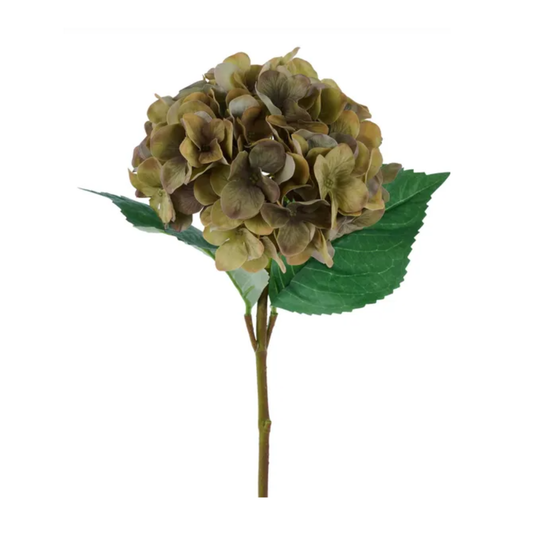 Real Touch Green Hydrangea Stem – 20” Artificial Flower for Arrangements & Home Decor-FS387730 Craig Bachman