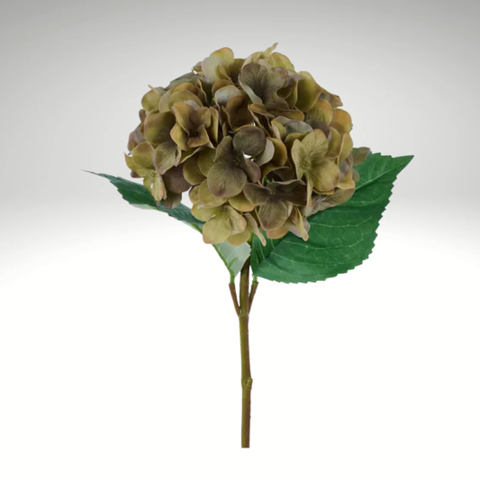 Real Touch Green Hydrangea Stem – 20” Artificial Flower for Arrangements & Home Decor-FS387730 Craig Bachman
