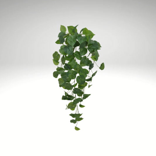 32" Artificial Philodendron Hanging Vine with 87 Leaves-21162 Golden Bell