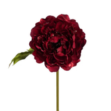 Red Glitter Peony Stem 21 Inch Artificial Flower-XS867524 Craig Bachman