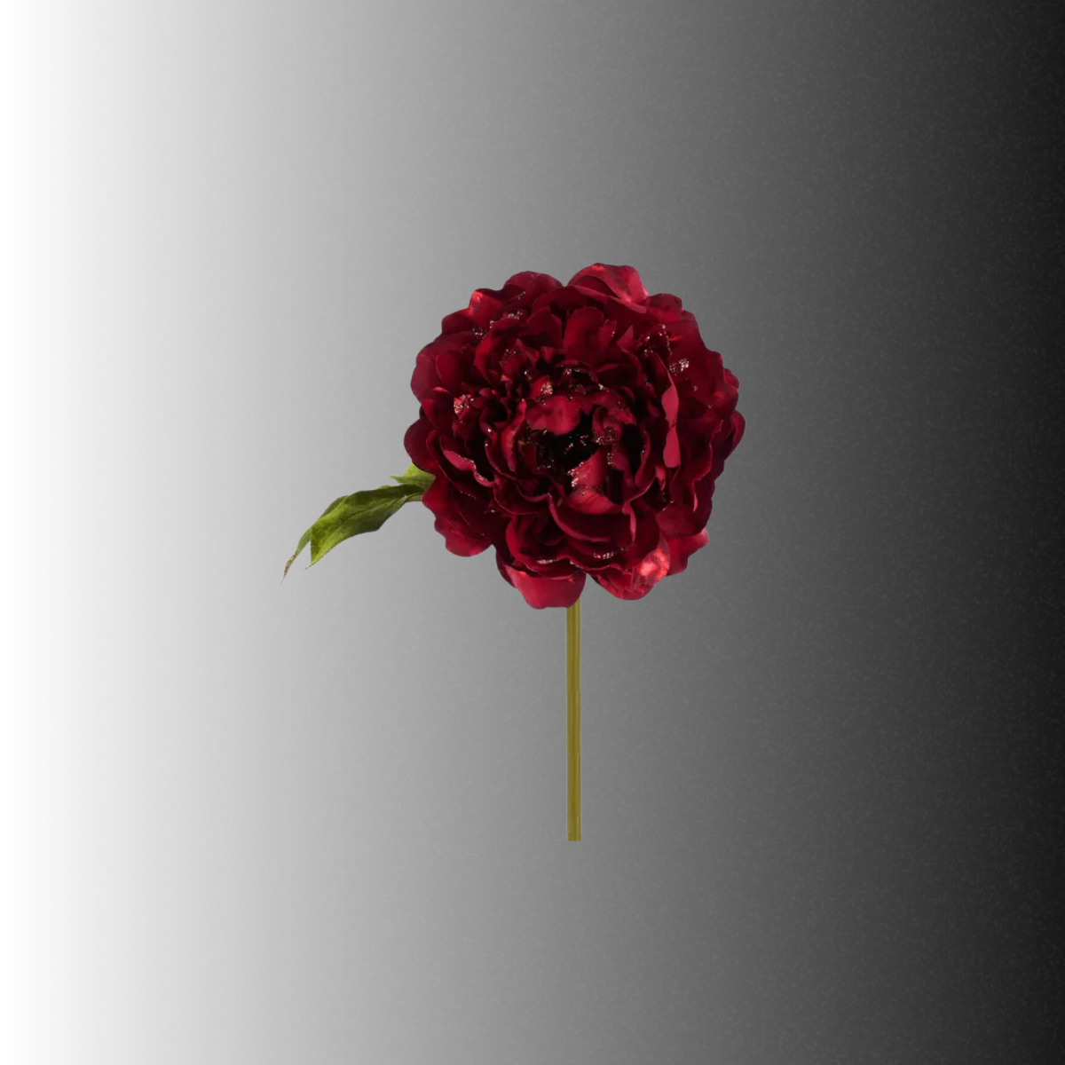 Red Glitter Peony Stem 21 Inch Artificial Flower-XS867524 Craig Bachman