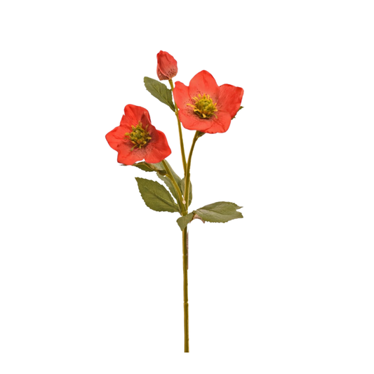 16 Inch Artificial Red Helleborus Stem for Wreaths and Floral Arrangements Fantastic Craft