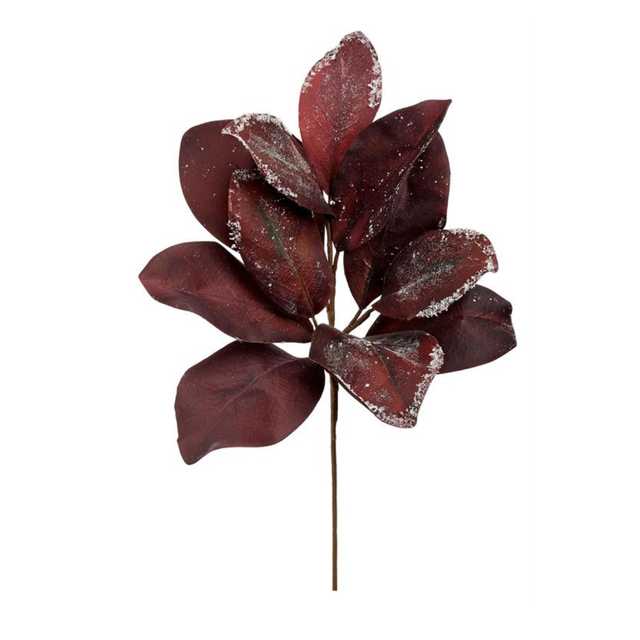 Snowy Burgundy Magnolia Leaf Spray | Frosted Christmas Foliage Stem | 18" Spray-FL6638-BU Select Artificials