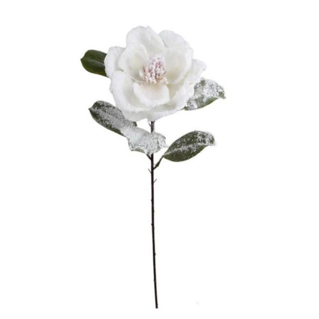 Snowy Cream Magnolia Spray | Frosted Winter Floral Stem | 27.5" Spray-XM14833-CR Green Import