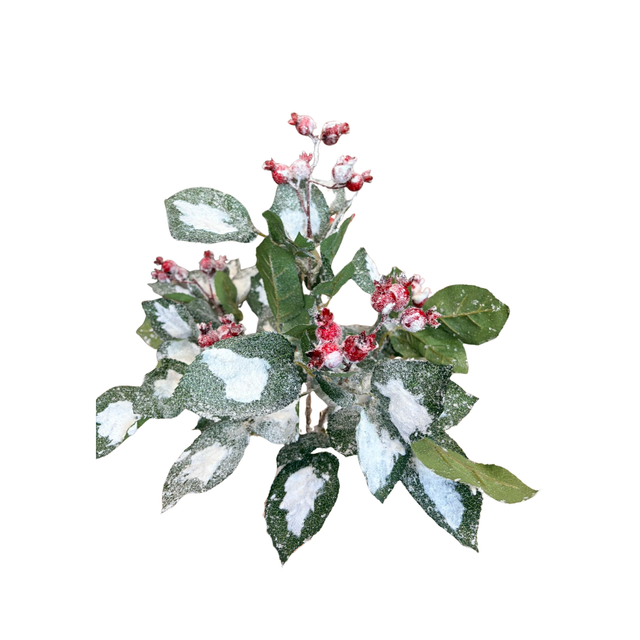Wintry Salutations Snowy Christmas Greenery Bush with Red Berries — XDC1004 Lancaster & Vintage