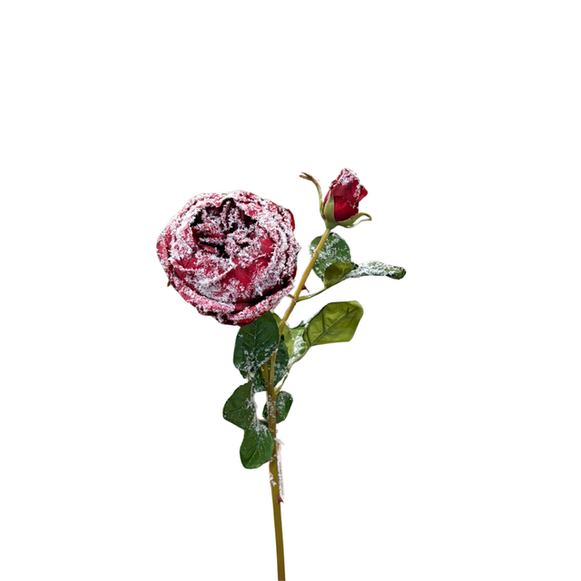 Snowy Red Cabbage Rose Spray | Frosted Winter Floral Stem | 23" Spray-FS386324 Craig Bachman