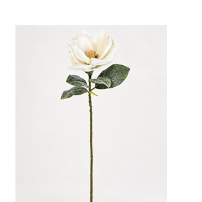 29" Snowy Artificial Magnolia Stem by TCT Crafts - Winter Floral Decor-White Christmas Magnolia Flower-83335WT Liberty Floral