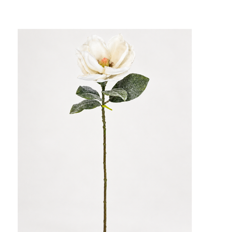 29" Snowy Artificial Magnolia Stem by TCT Crafts - Winter Floral Decor-White Christmas Magnolia Flower-83335WT Liberty Floral
