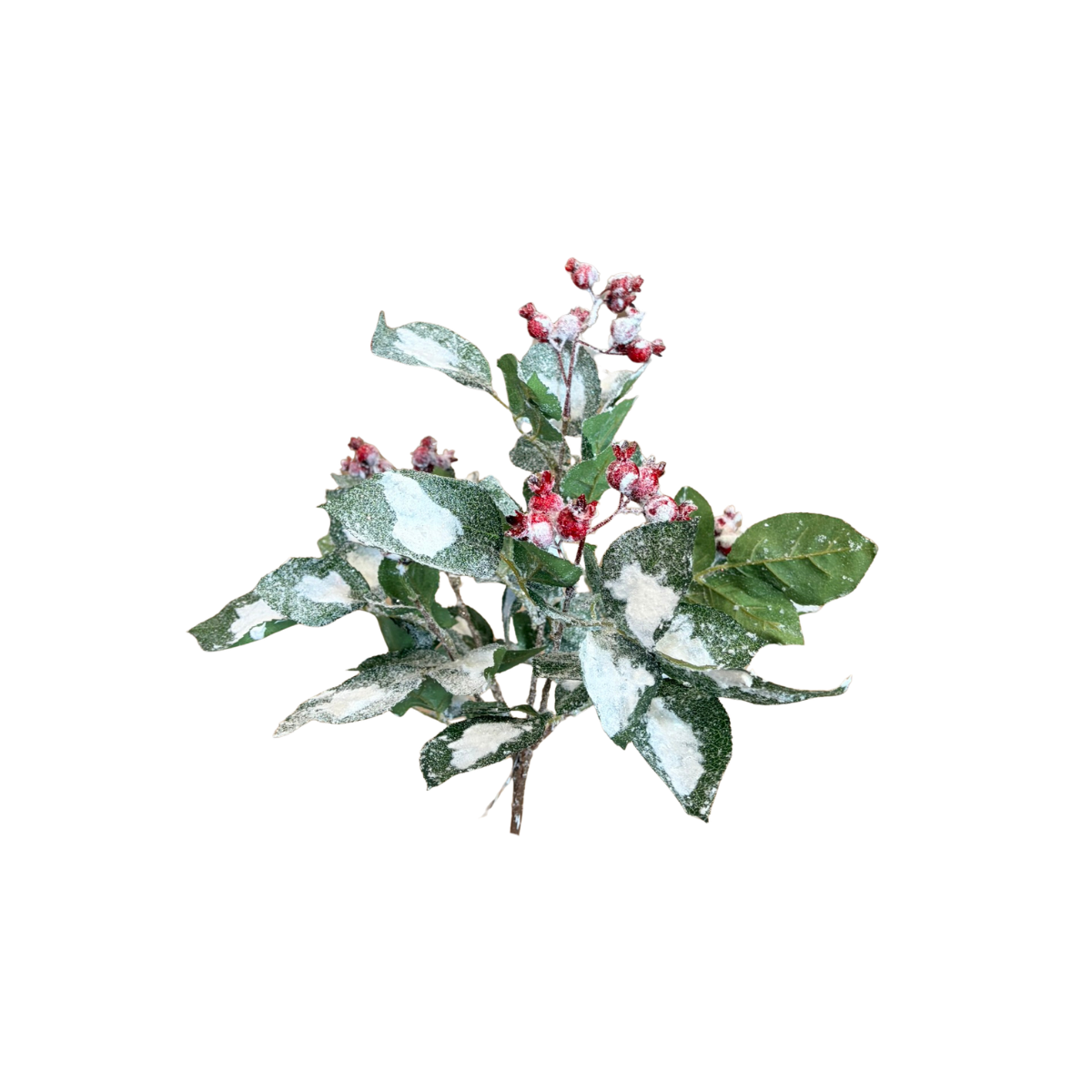 Wintry Salutations Snowy Christmas Greenery Bush with Red Berries — XDC1004 Lancaster & Vintage
