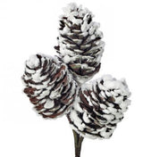 Snowy Pinecone Pick x3 12"-MTX65815 Regency