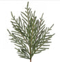 Soft Touch Mini Fir Spray 30"-MTX73274 Regency