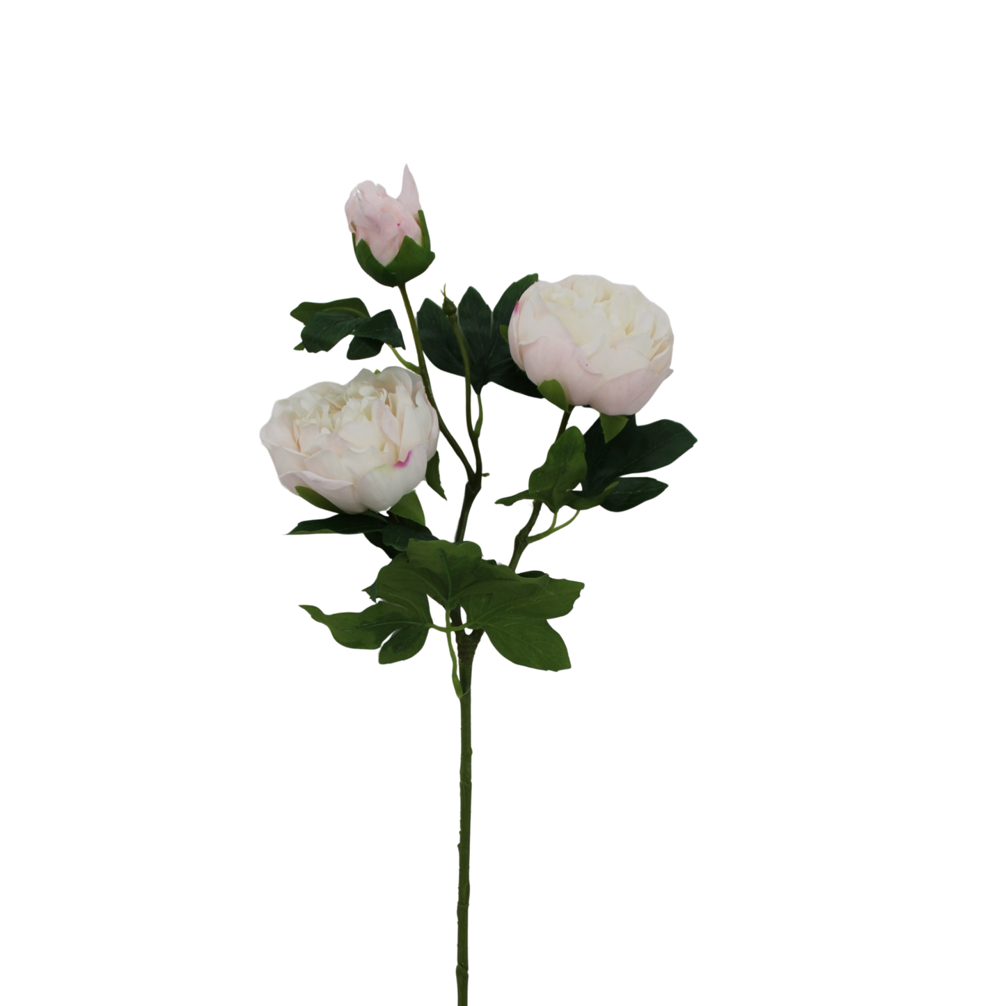 Soft Touch Peony Stem Cream Pink Floral-85464-CRPK Golden Bell