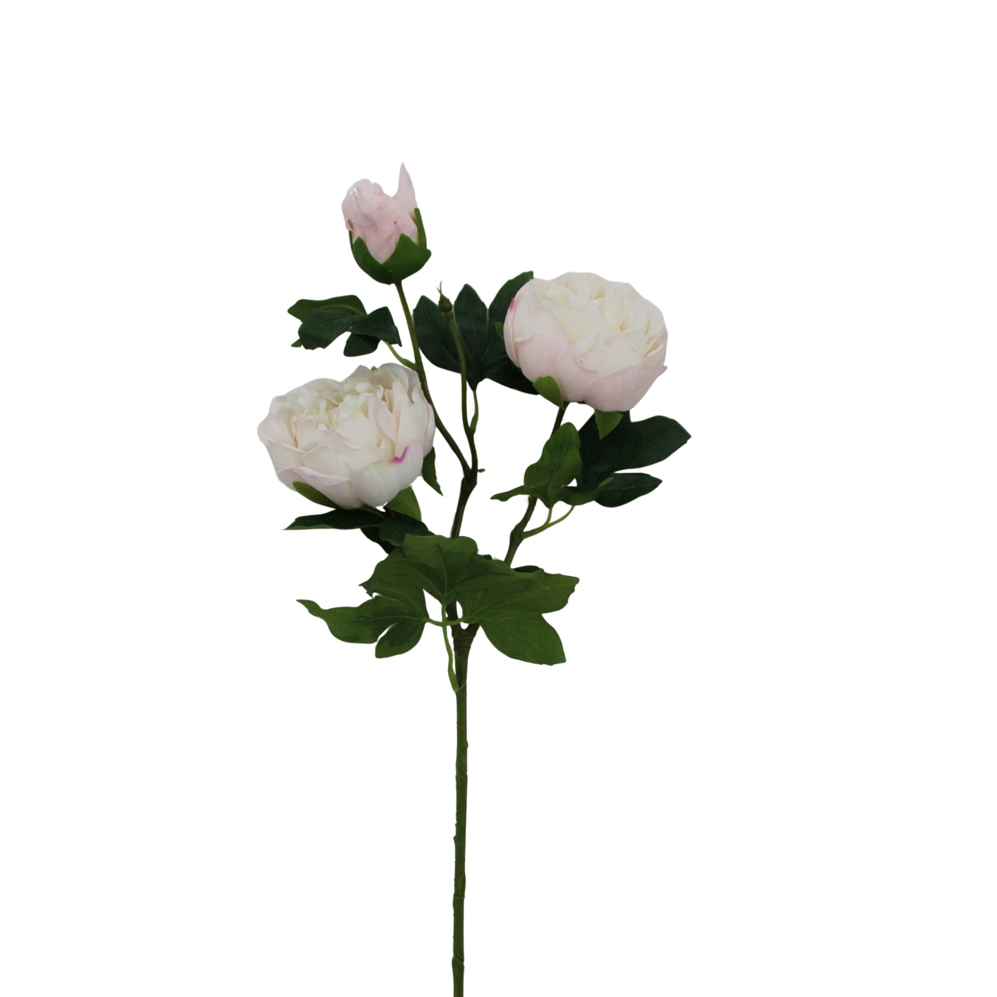 Soft Touch Peony Stem Cream Pink Floral-85464-CRPK Golden Bell