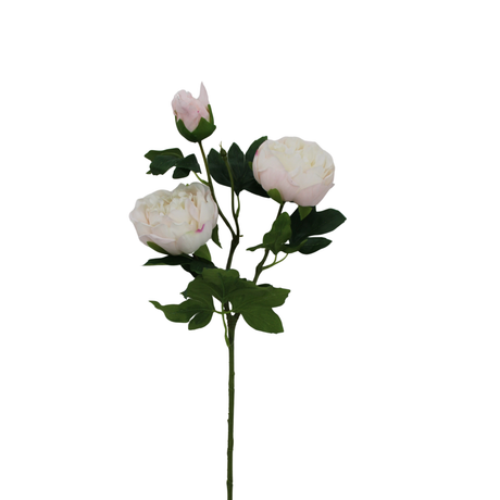 Soft Touch Peony Stem Cream Pink Floral-85464-CRPK Golden Bell