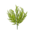 Sorghum Bush x9 | Feathery Green Foliage Filler | 20" Bush-81582-GN Golden Bell