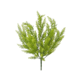 Sorghum Bush x9 | Feathery Green Foliage Filler | 20" Bush-81582-GN Golden Bell