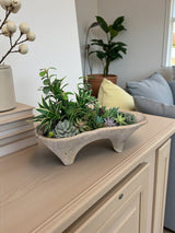 Succulent Arrangement in Cement Planter | Neutral Modern Centerpiece TCT Crafts