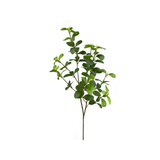 27" Syngonium Greenery Spray for Wreaths & Arrangements-13598GN Liberty Floral