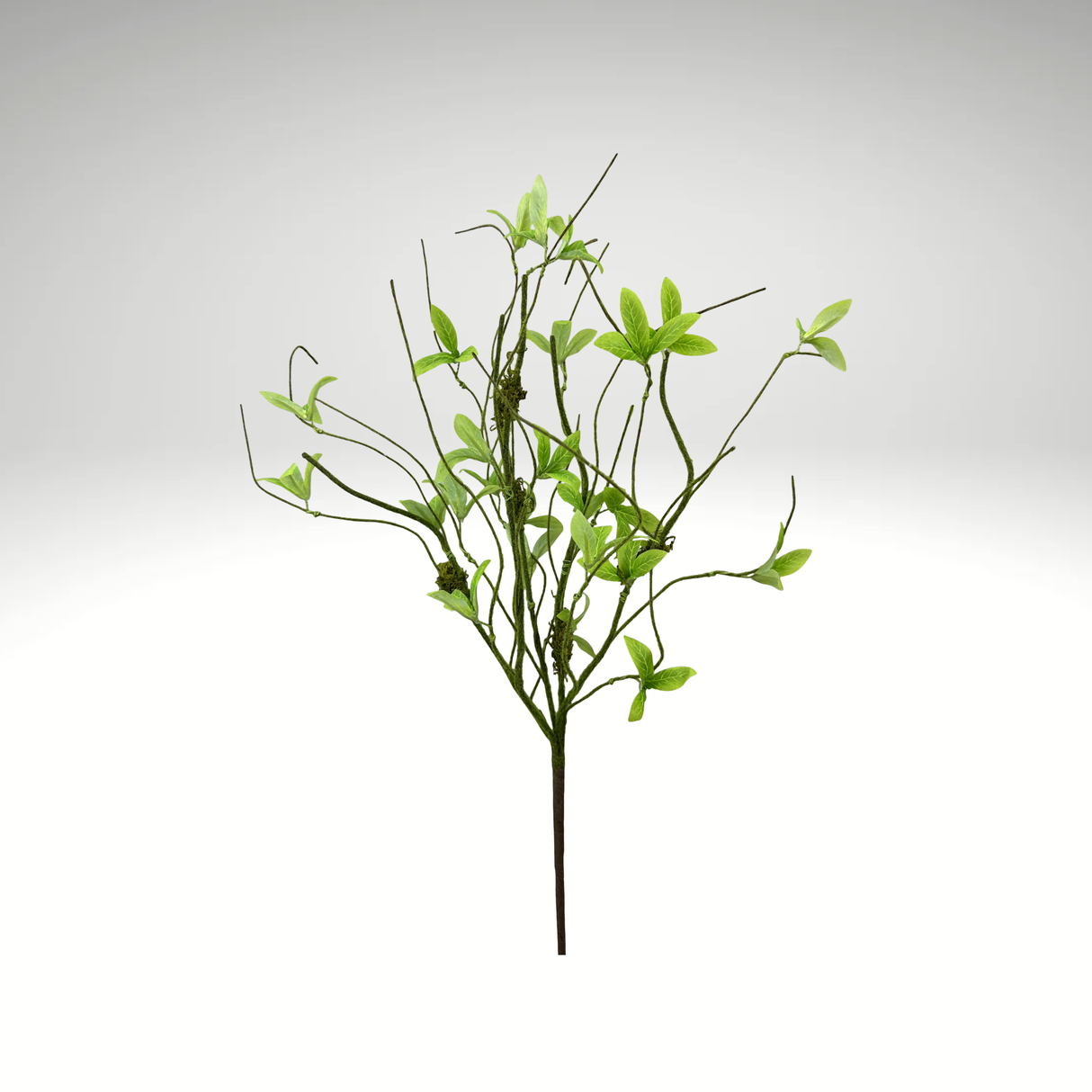 24" Twig Sprout Bush | Natural Greenery for Wreaths & Decor-63955GN Liberty Floral