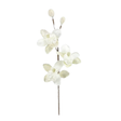 22” Pearl Velvet Beaded Orchid Stem – Elegant Faux Floral for Holiday or Wedding Decor-XS707366 Craig Bachman