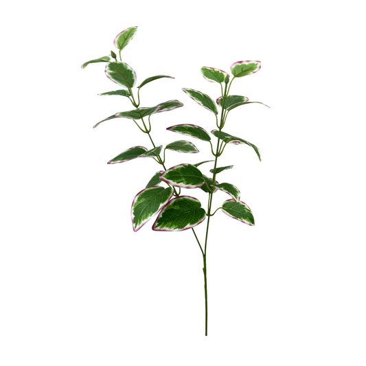27" Vinca Leaves Spray  | Variegated Greenery-13694MVGN TCTCrafts