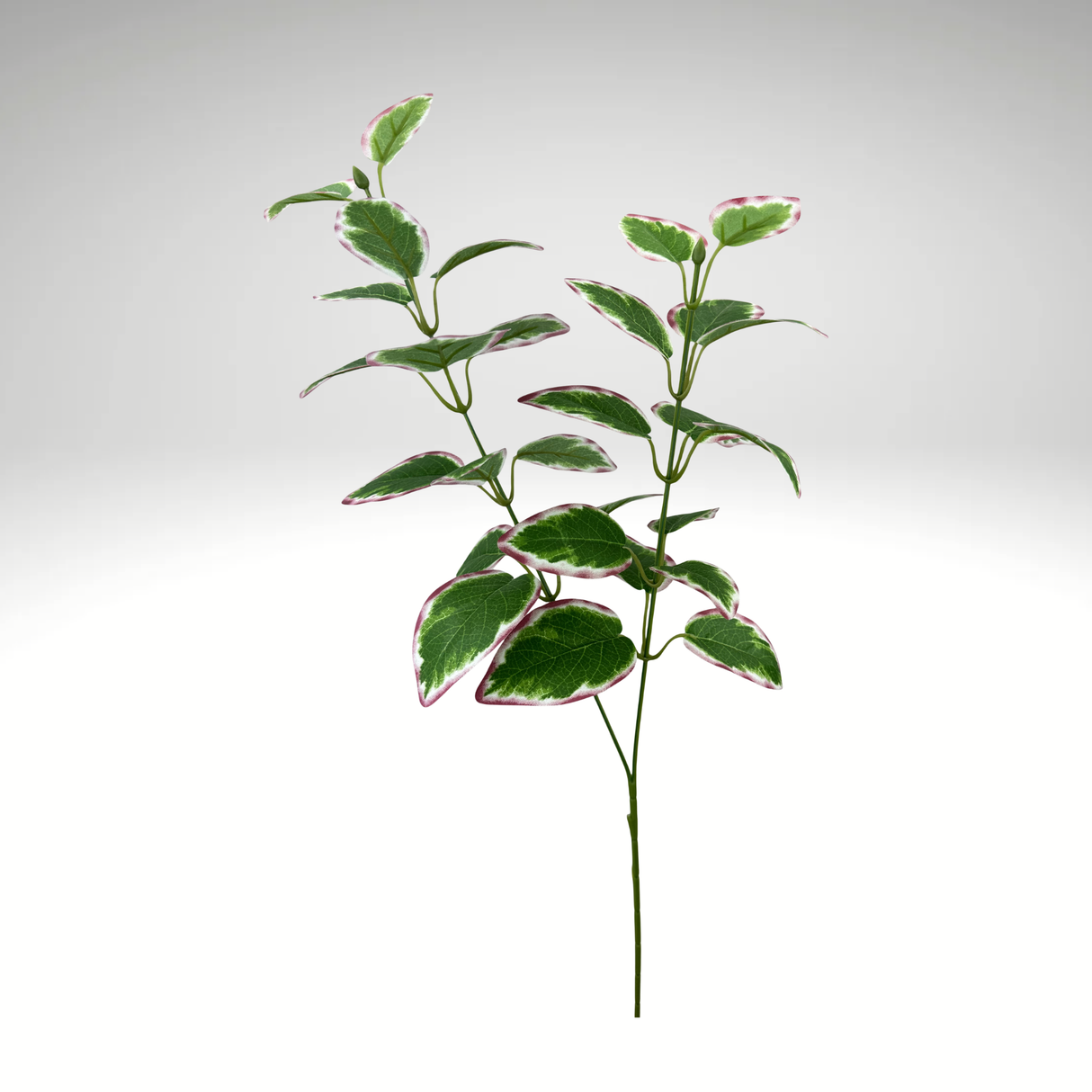 27" Vinca Leaves Spray  | Variegated Greenery-13694MVGN TCTCrafts
