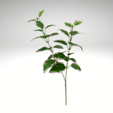 27" Vinca Leaves Spray  | Variegated Greenery-13694MVGN TCTCrafts