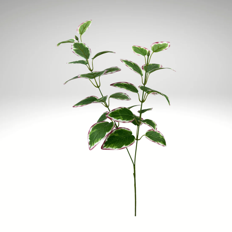 27" Vinca Leaves Spray  | Variegated Greenery-13694MVGN TCTCrafts