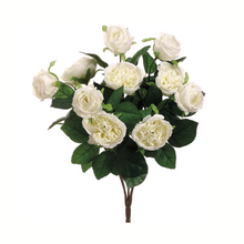 Load image into Gallery viewer, 16&quot; Artificial Cream Cabbage Rose Bush | Faux Floral Stem with 10 Flower Heads