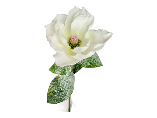 29" Snowy Artificial Magnolia Stem by TCT Crafts - Winter Floral Decor-White Christmas Magnolia Flower-83335WT Liberty Floral