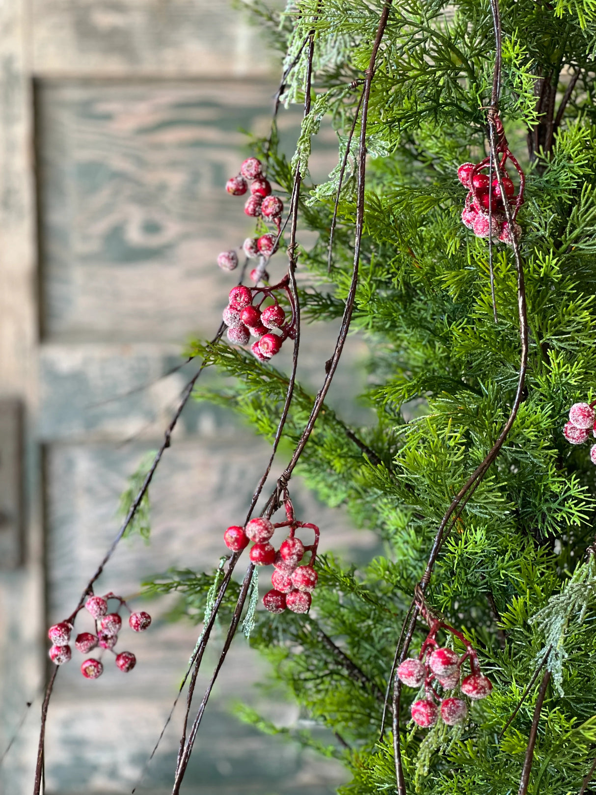 Icy Red Berry and Cedar Vine — 4 Foot Christmas Wreath Supply and Holiday Accent-XBR36522 Lancaster & Vintage