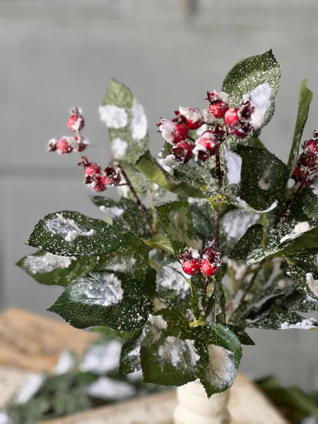 Wintry Salutations Snowy Christmas Greenery Bush with Red Berries — XDC1004 Lancaster & Vintage