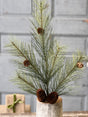 Southern Pine Spray with Natural Pinecones-XLA23360 Lancaster & Vintage