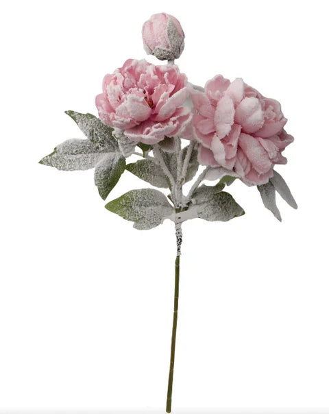 Snowy Pink Peony Spray | Frosted Winter Floral Stem | 25.5" Spray-XM14832 Green Import
