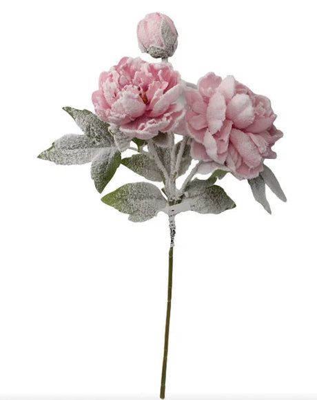 Snowy Pink Peony Spray | Frosted Winter Floral Stem | 25.5" Spray-XM14832 Green Import