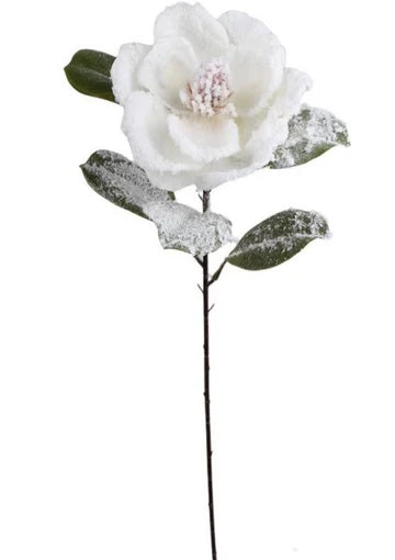Snowy Cream Magnolia Spray | Frosted Winter Floral Stem | 27.5" Spray-XM14833-CR Green Import