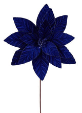 20.5" Royal Blue Embossed Velvet Poinsettia Stem-XS426525 Craig Bachman