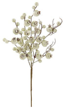 Load image into Gallery viewer, 15&#39;&#39; Frosty Metallic Crabapple Pick - Platinum Holiday Floral Accent -XS534-PT