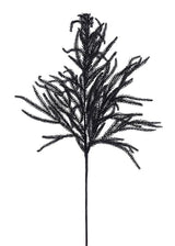 36" Black Norfolk Pine Spray-XV772702 Craig Bachman